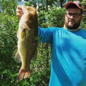 Meet your Posher, Nick